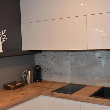 Apartament Ornak Apartment *